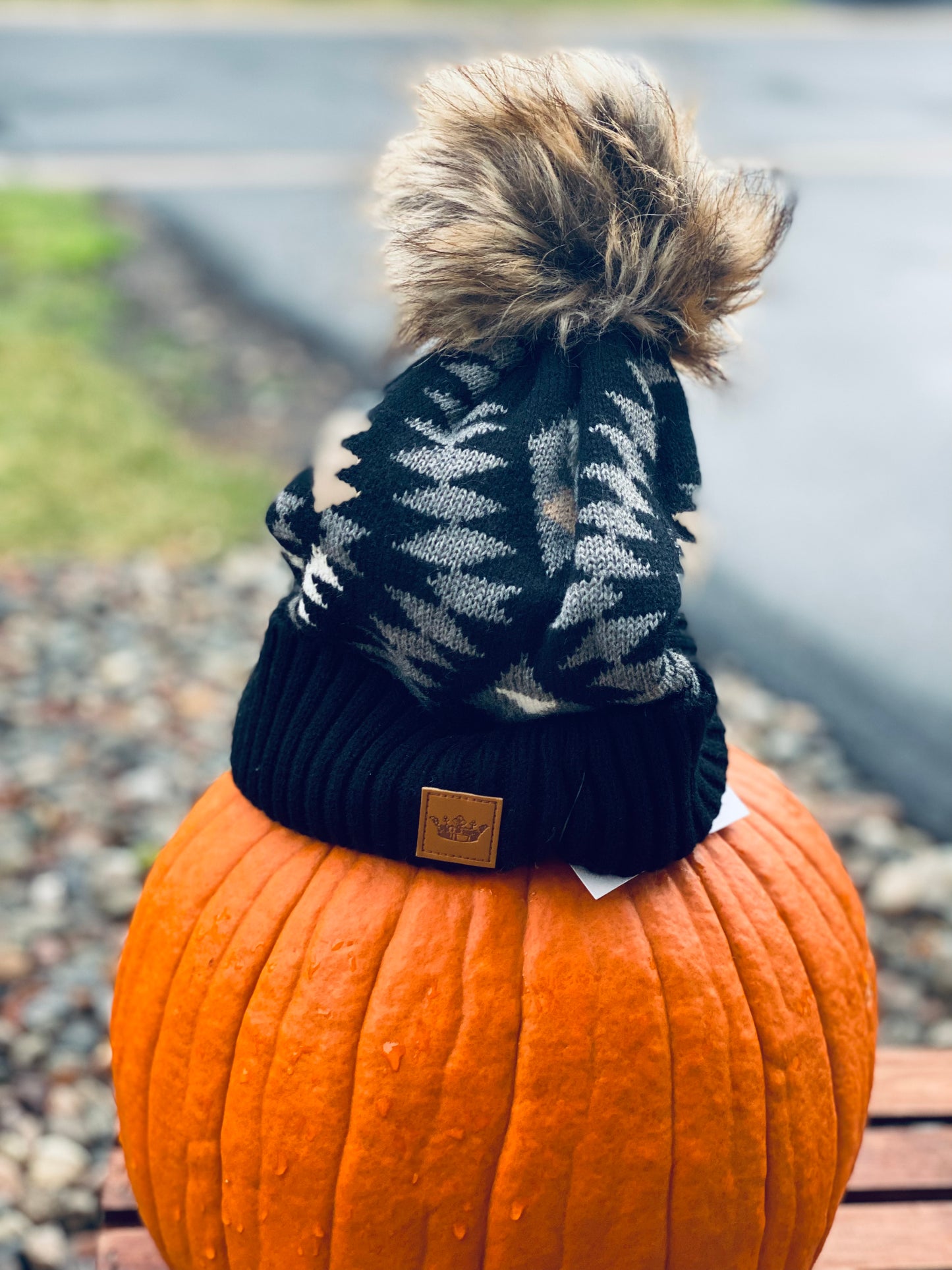 Winter Hats